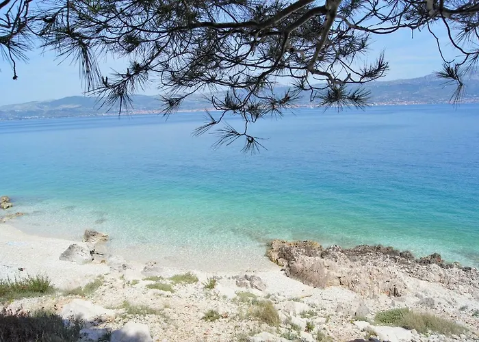 Mandaric Τρογκίρ